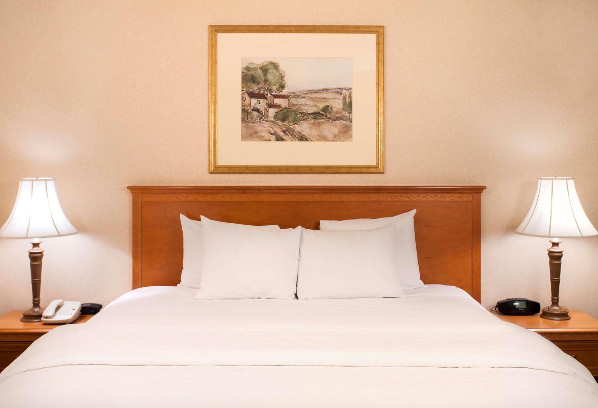 Hampton Inn & Suites Аддисон Экстерьер фото